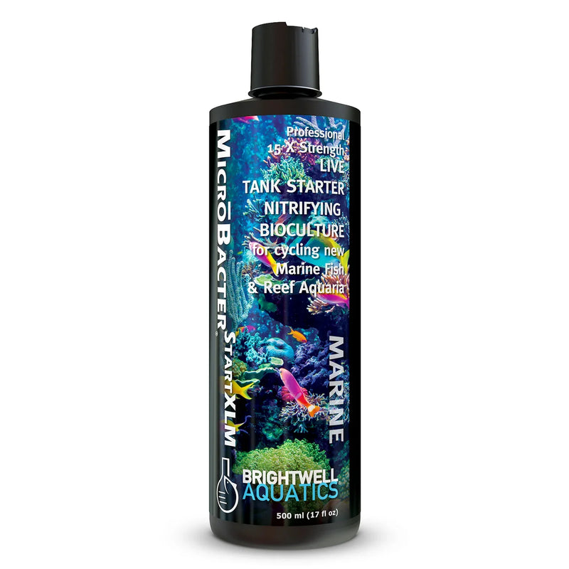 Treatment and Filtration