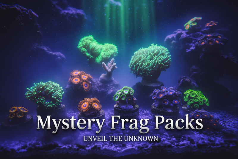 Coral Frag Packs