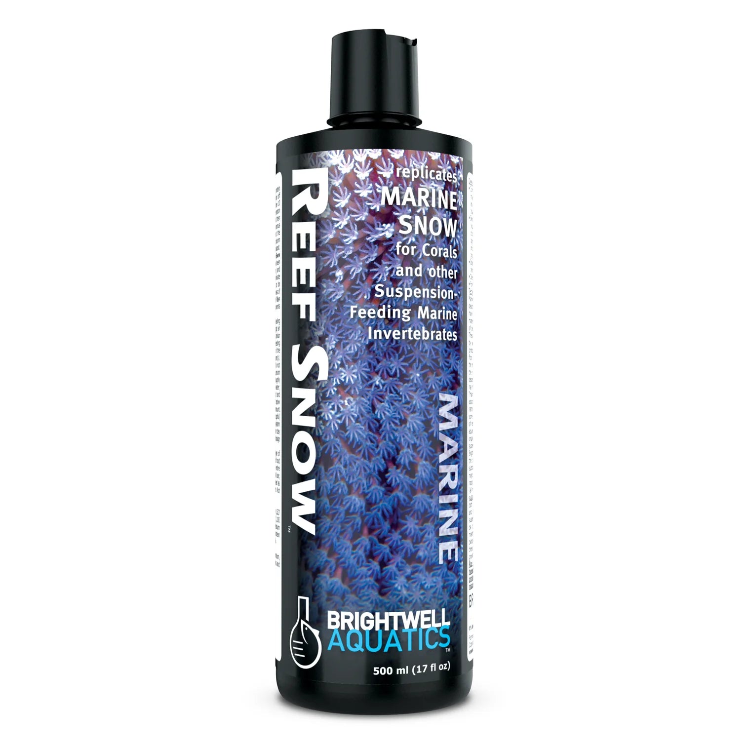 Brightwell Reef Snow