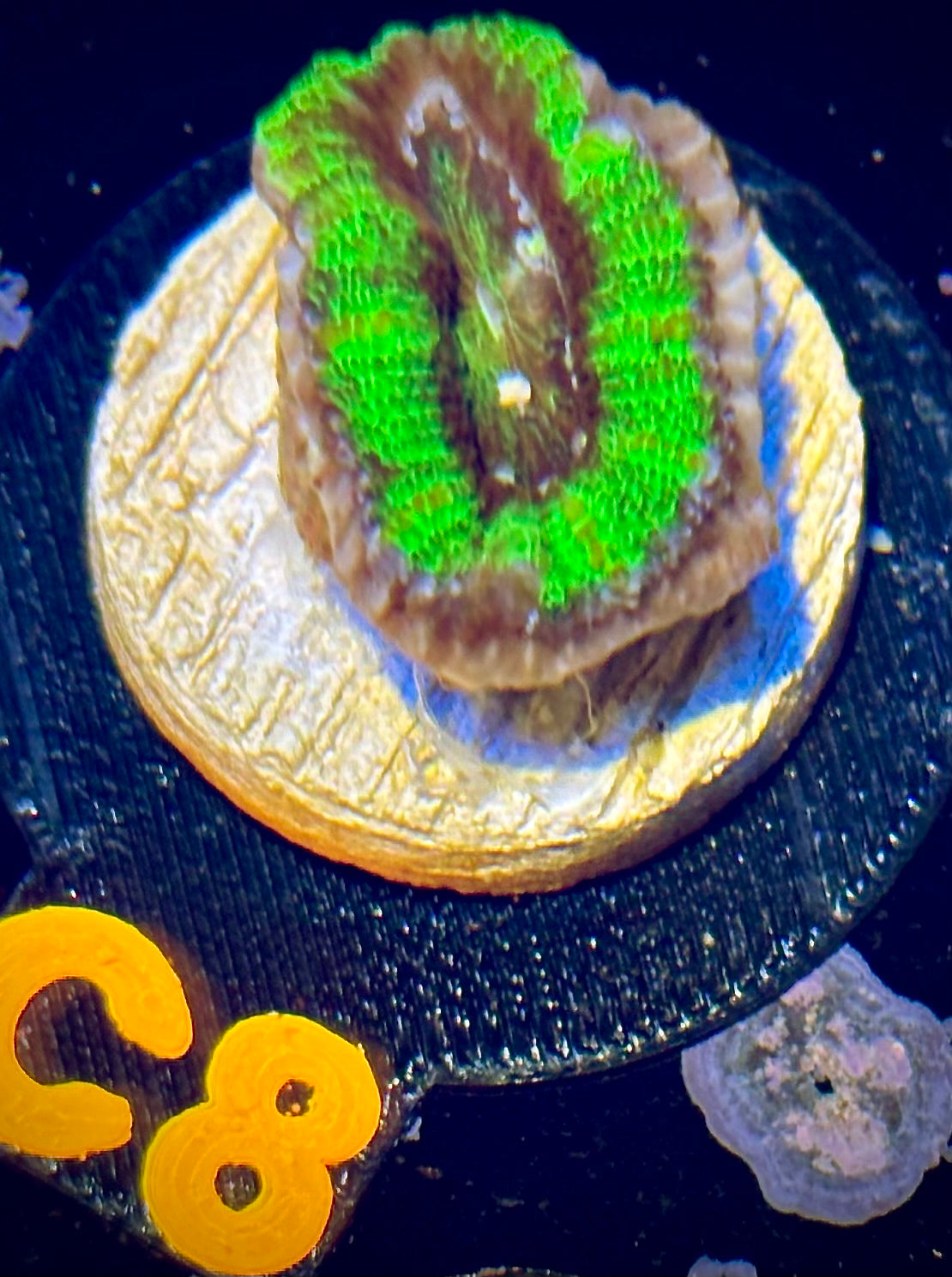 UFO Acan