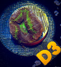 UFO Acan