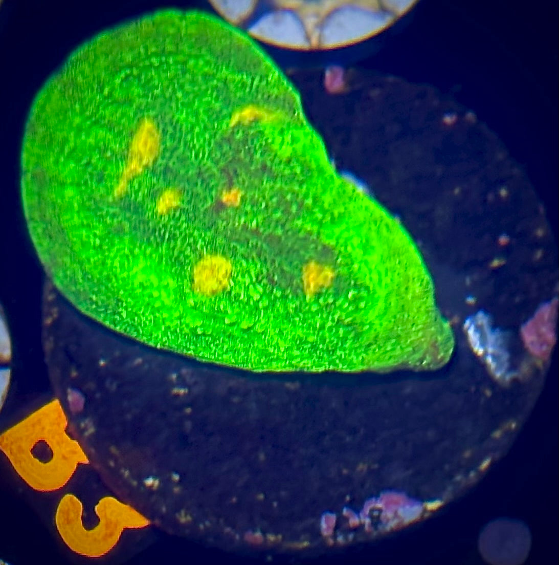 Space Invader Chalice