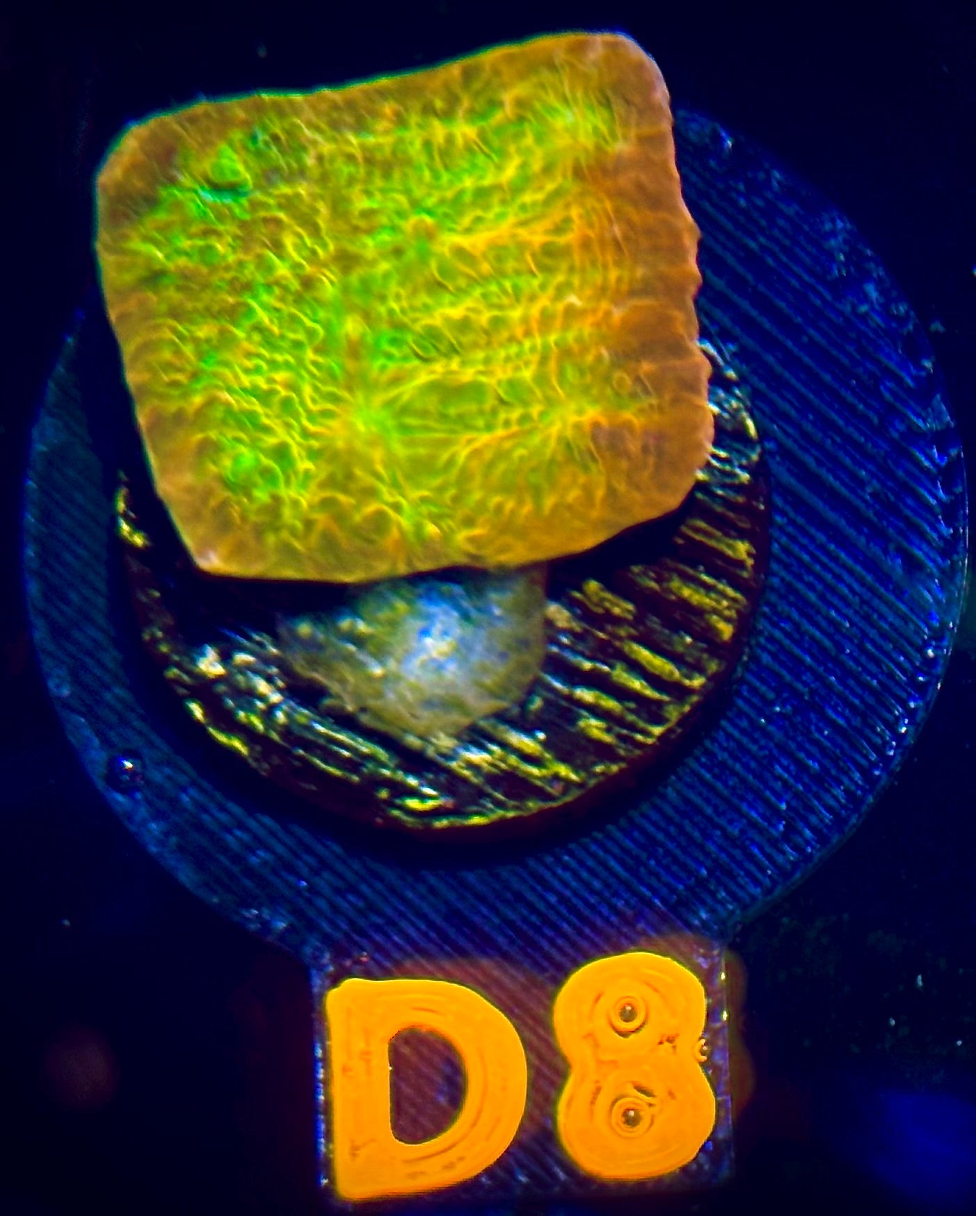 ECC Ludicrous Chalice